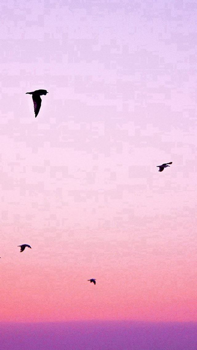 640x1136 Sky Bird Pink Red Sunset Nature -  iPhone Wallpaper