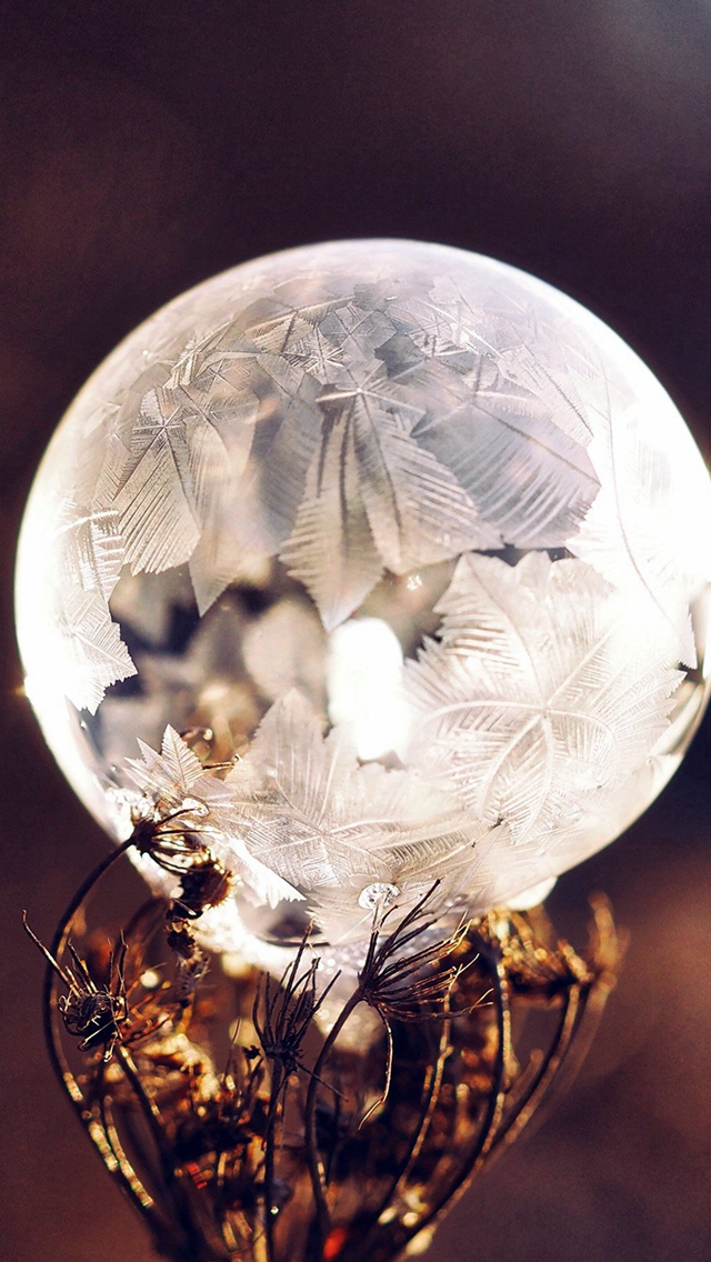 Winter Cold Frozen Bubble Bokeh Nature Dark iPhone wallpaper 