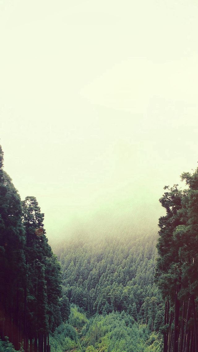 640x1136 Mountain Mirror Green Wood Nature Flare - woods iPhone Wallpaper