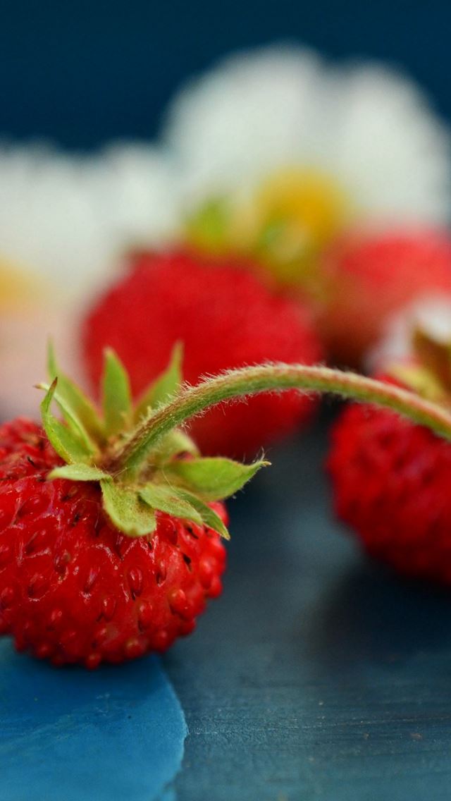 640x1136 Wild Strawberry Chamomile Berries - natural iPhone Wallpaper