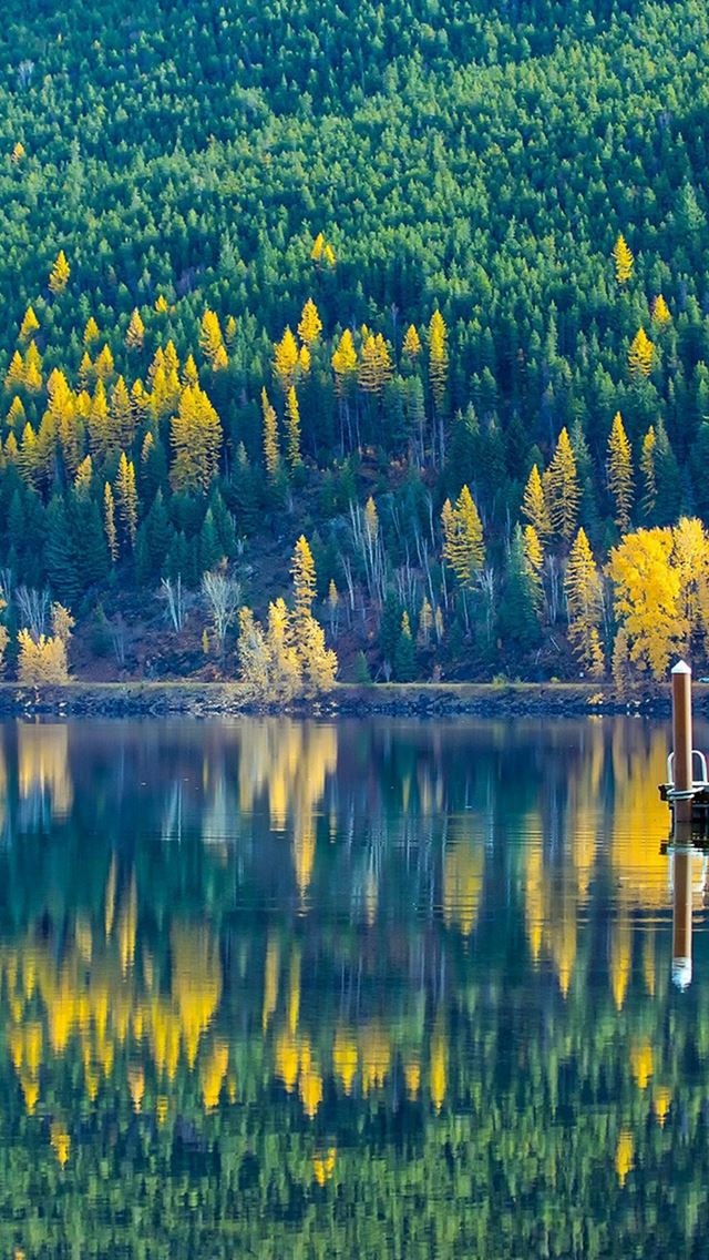 640x1136 Lake View Wonderful Nature - trees iPhone Wallpaper