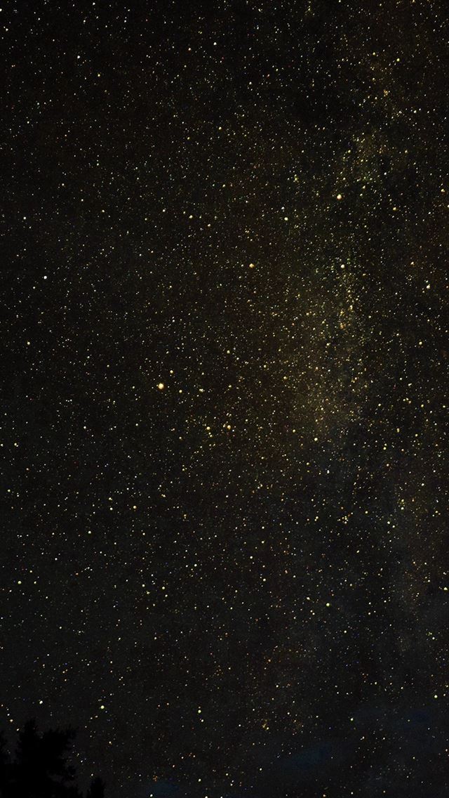 640x1136 Night Sky Milkyway Tree Wood Nature Gold - starry iPhone Wallpaper