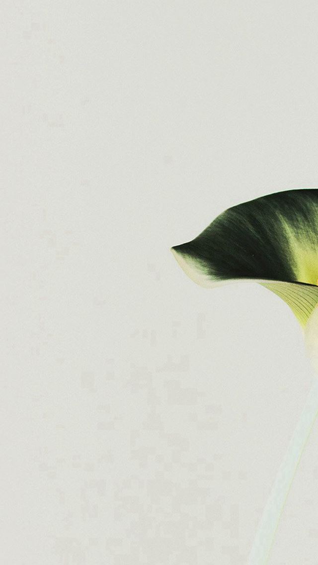 640x1136 Lily Flower Minimal Simple Green Nature Inverted - minimal iPhone Wallpaper