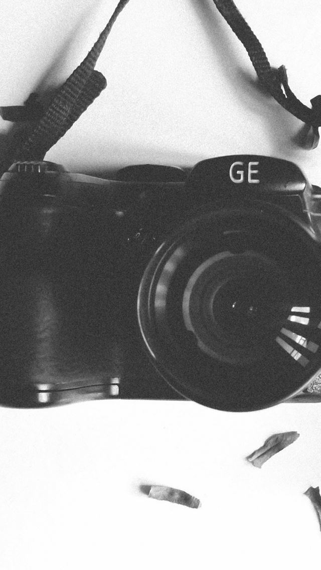 640x1136 Camera Branch Leaf Herbarium Bw - camera iPhone Wallpaper