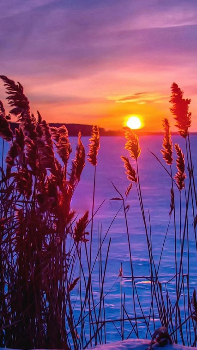 640x1136 Winter Sunset Snow - sky view iPhone Wallpaper
