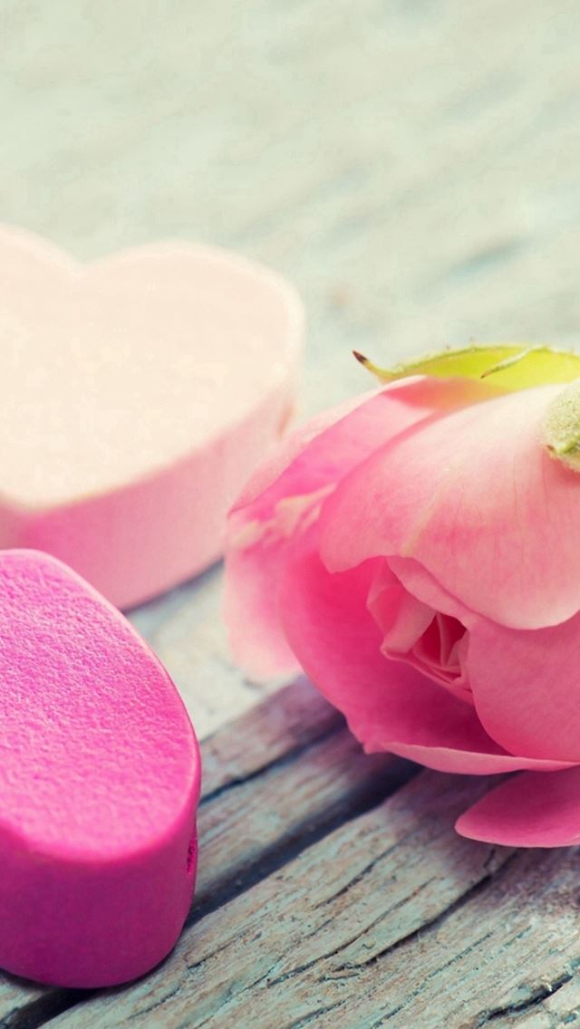 640x1136 Nature Elegant Pure Rose Flower - pure iPhone Wallpaper