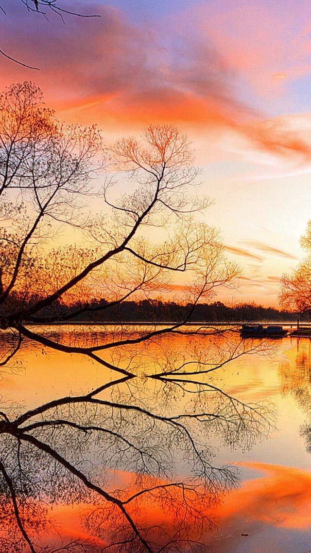 640x1136 Lake Sunset Trees Landscape Beach Art Night Reflection - trees iPhone Wallpaper