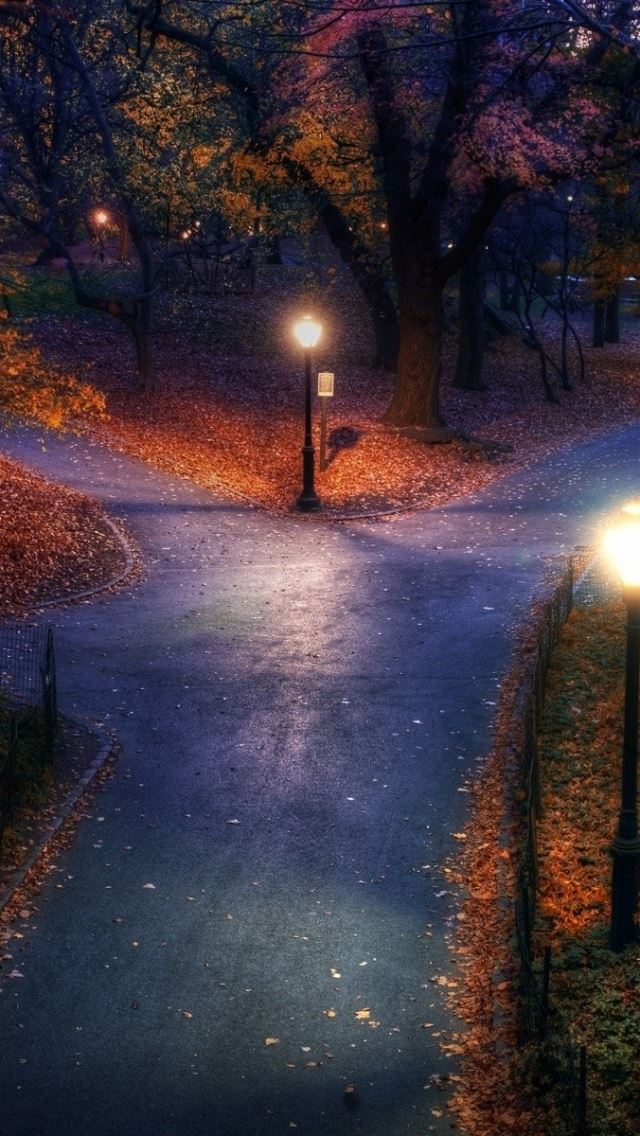 640x1136 Park Autumn City Lights Pavement Trails Leaves - leaves iPhone Wallpaper