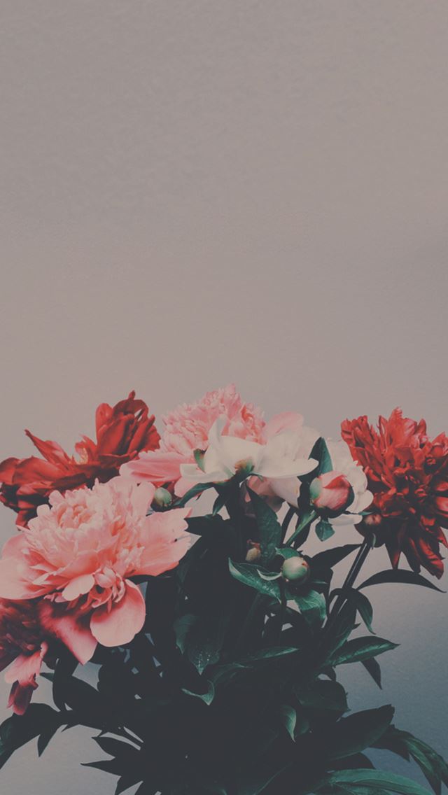 640x1136 Peony Flowers Bouquet -  iPhone Wallpaper