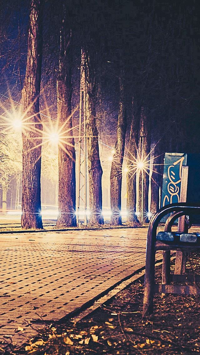 640x1136 Street Night Bench Nature Dark - trees iPhone Wallpaper
