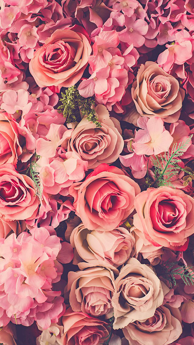 Pink Roses Bouquet Fresh iPhone wallpaper 