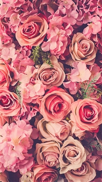 Download wallpapers pink roses, pink flowers, blur, roses, pink roses  background, beautiful flowers for desktop free. Pictures for desktop free