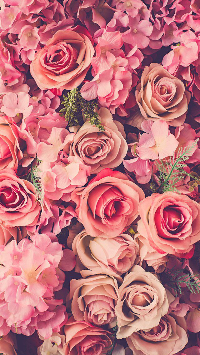 640x1136 Pink Roses Bouquet Fresh - roses iPhone Wallpaper