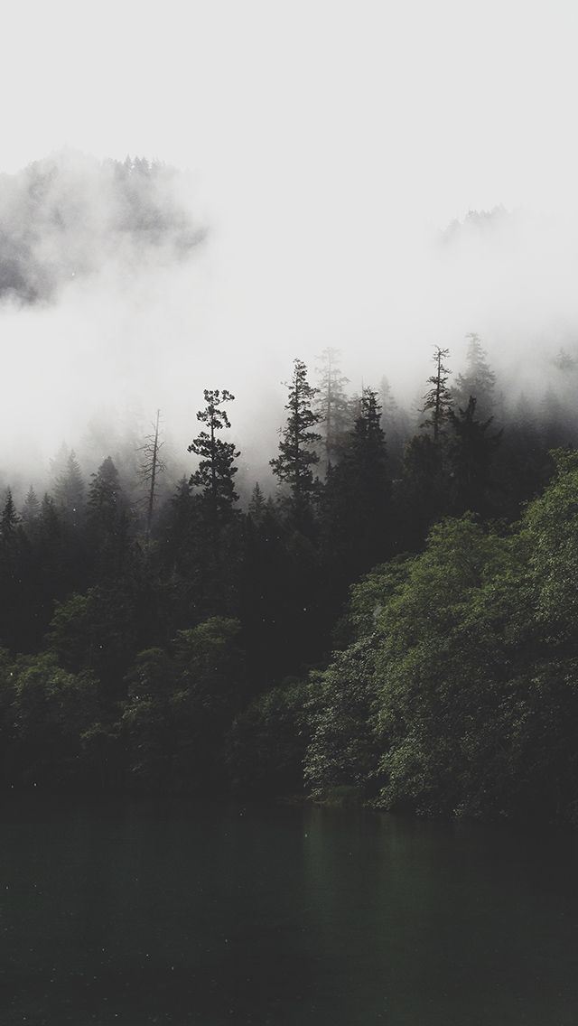 1284x2778 Mountain Forest Lake Misty - mountain iPhone Wallpaper