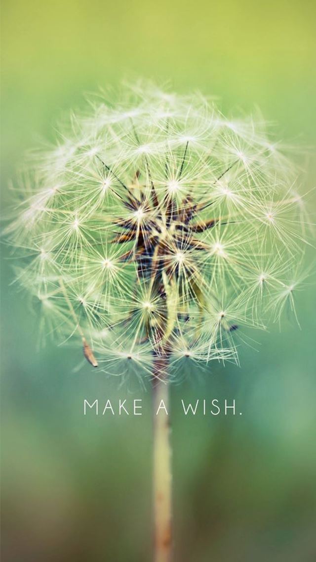 640x1136 Make A Wish Dandelion - pure iPhone Wallpaper