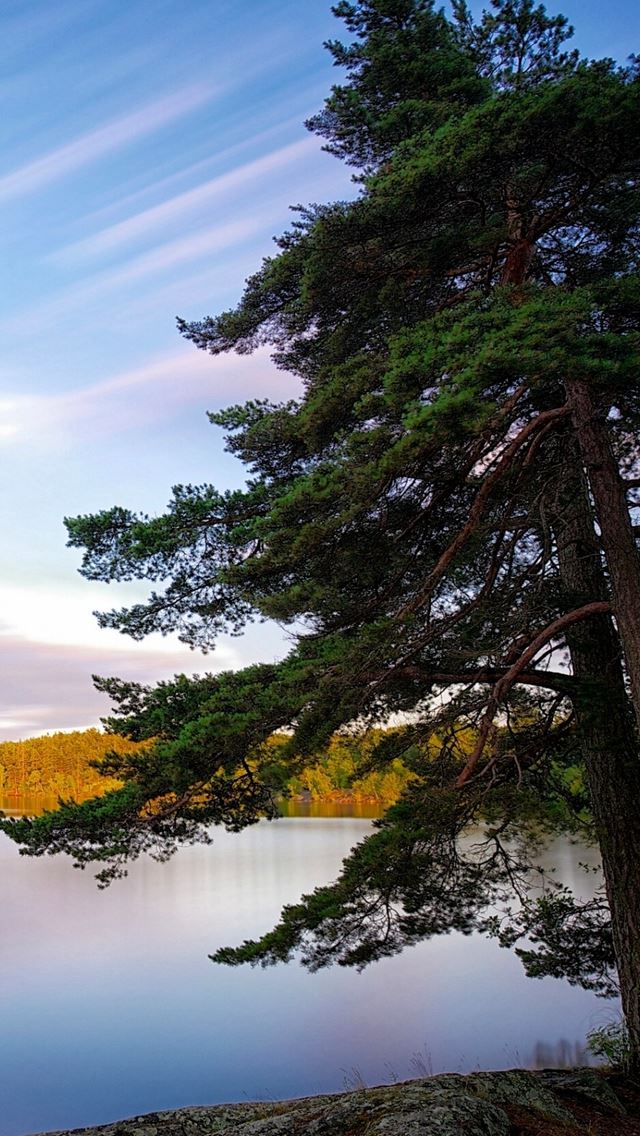 640x1136 Sweden Lakes Trees - sweden iPhone Wallpaper