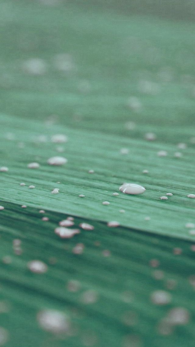 640x1136 Drops Of Milk On Floor Pattern Nature Green -  iPhone Wallpaper