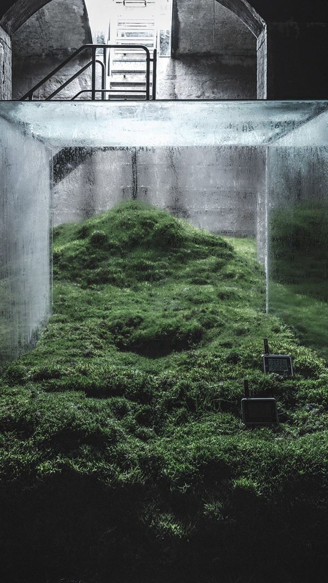 640x1136 Home Nature Green Illustration Art - window iPhone Wallpaper