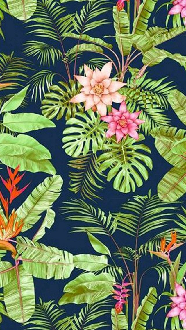 640x1136 Flowers Jungle Vegetation - vegetation iPhone Wallpaper