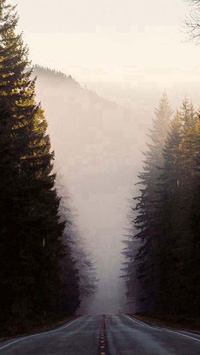 640x1136 Misty Forest Road Pine Trees - mountains iPhone Wallpaper