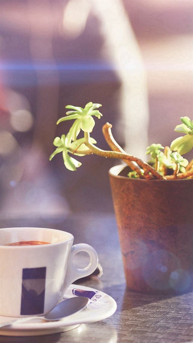 639x1136 Cafe Coffee City Bokeh Life Art Nature Bokeh - flare iPhone Wallpaper