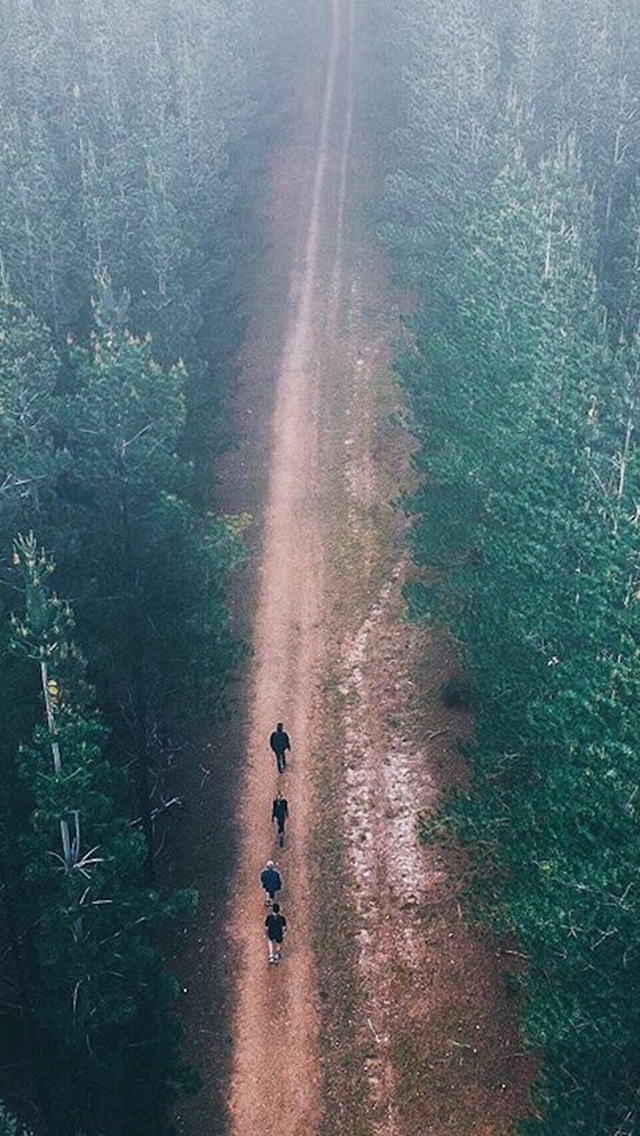 640x1136 Wood road -  iPhone Wallpaper