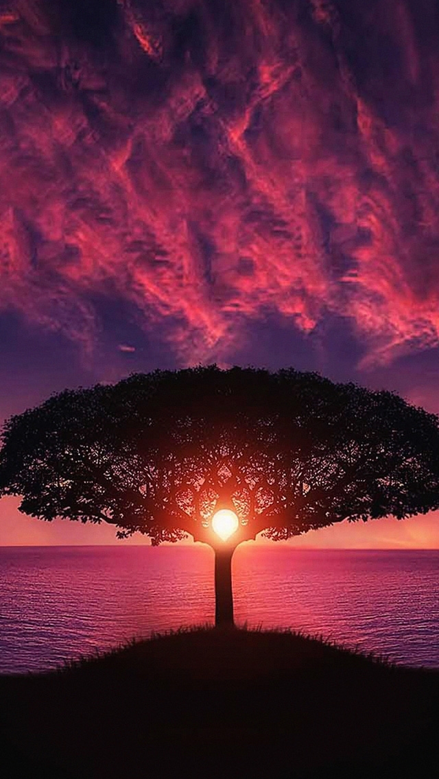 640x1136 Purple sky nature -  iPhone Wallpaper