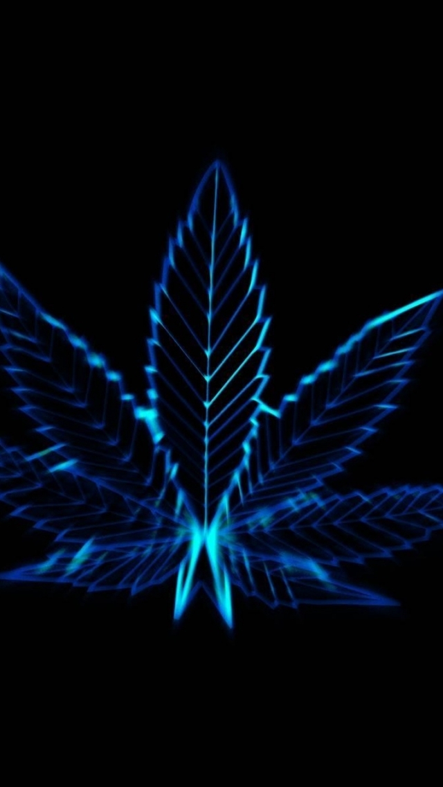 640x1136 line light leaves -  iPhone Wallpaper