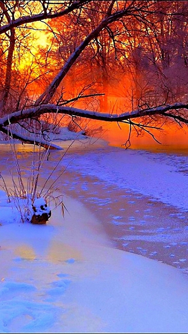 640x1136 Winter sunset evening  - sunset iPhone Wallpaper