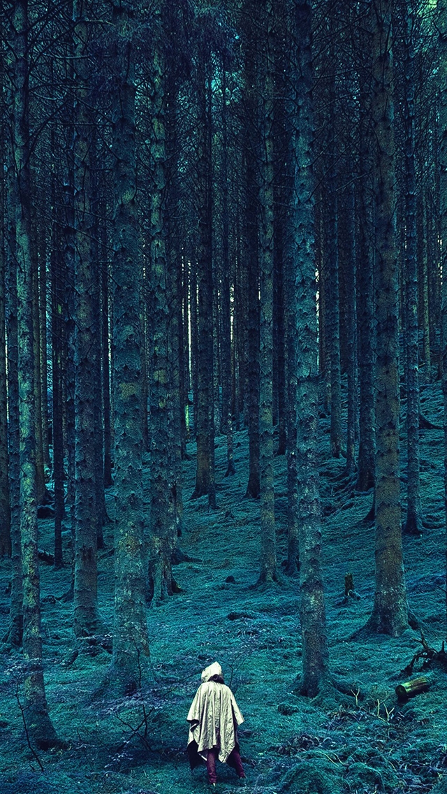 640x1136 Blue forest - tree iPhone Wallpaper