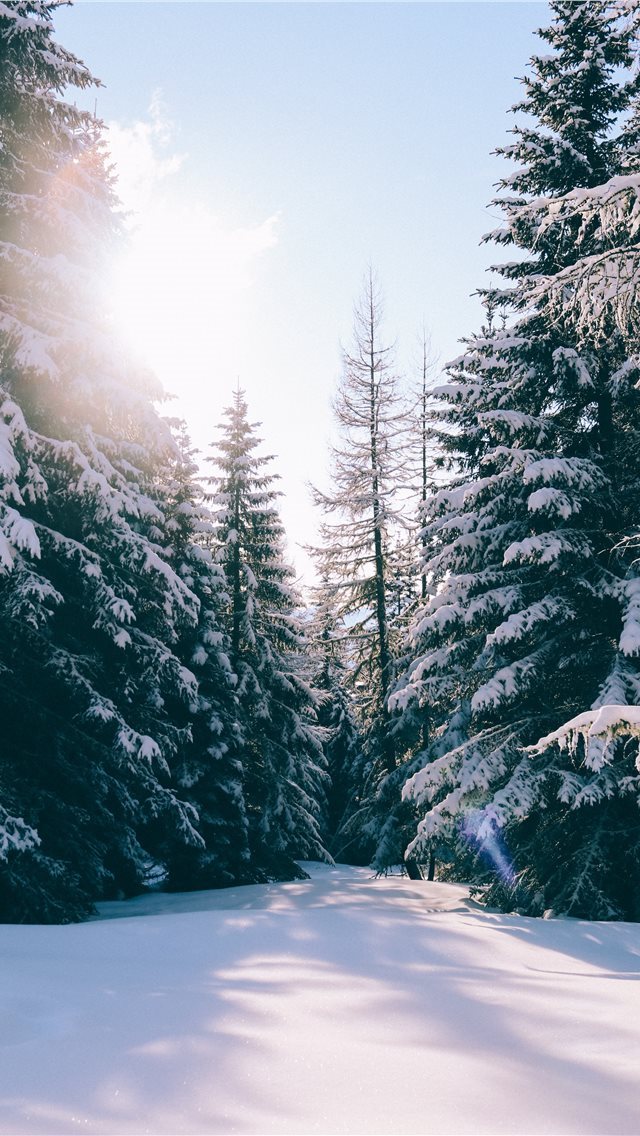 640x1136 See the beauty around you - sunrise iPhone Wallpaper