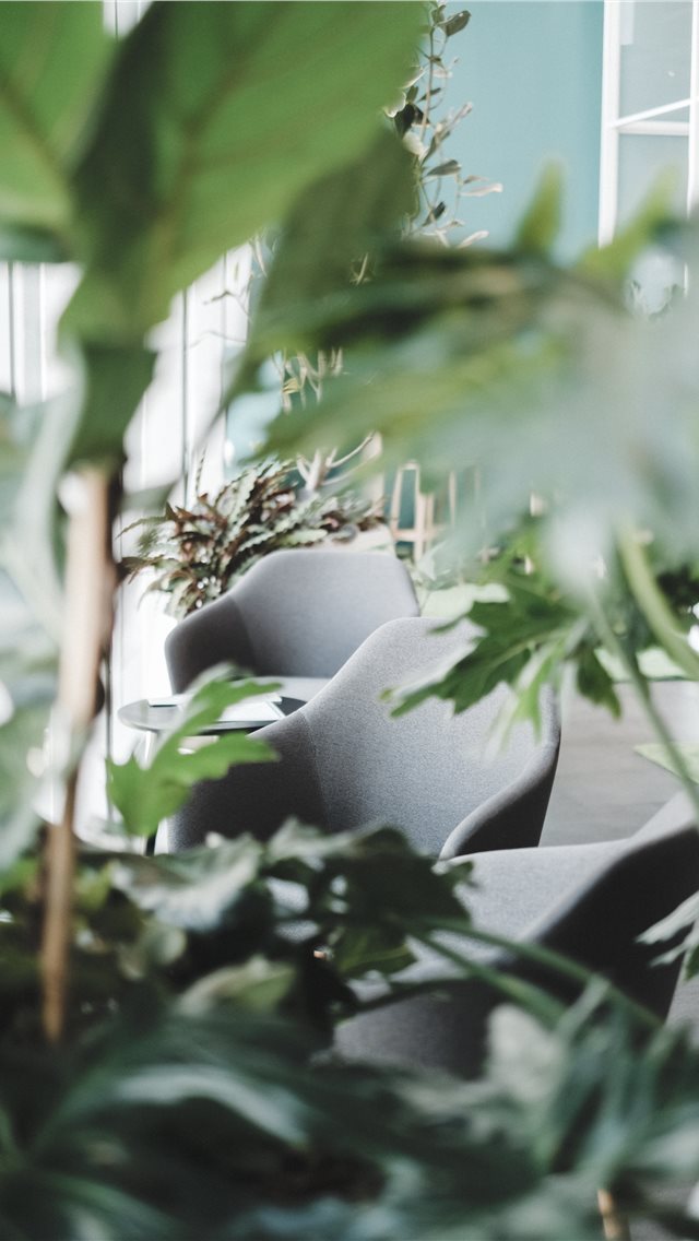 640x1136 Coworking in Bangkok - chair iPhone Wallpaper