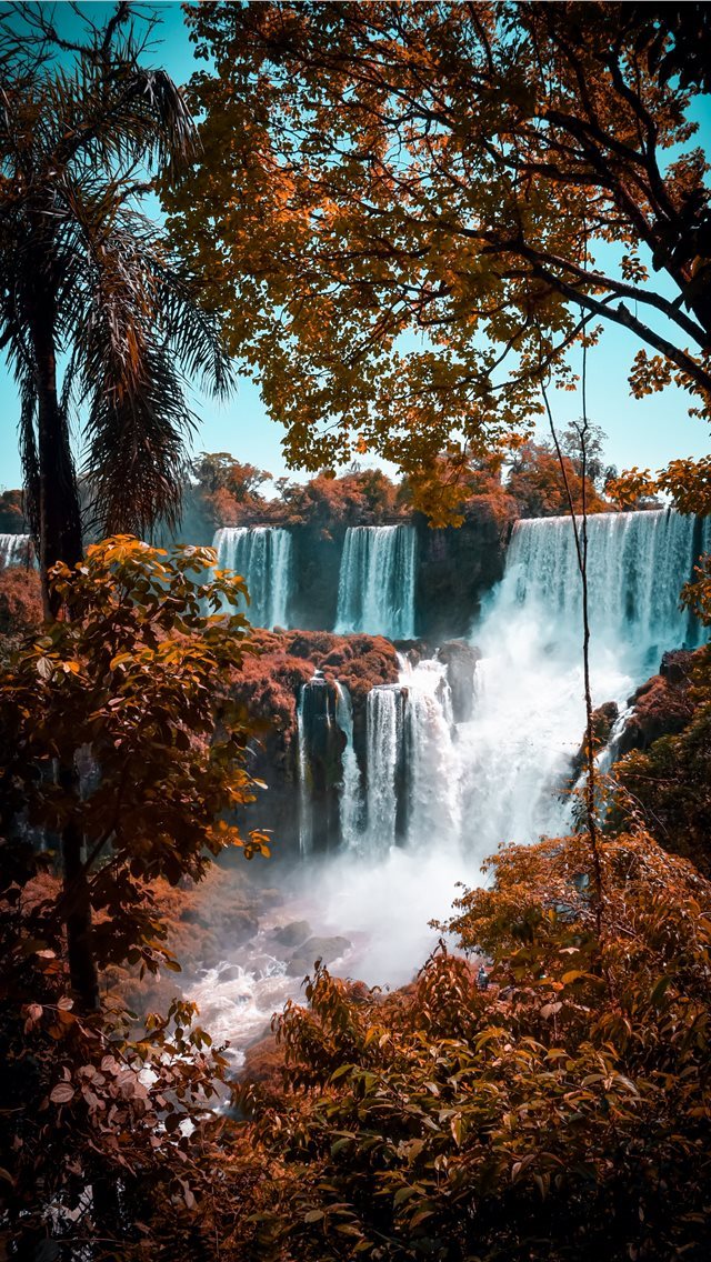 640x1136 Iguazu Falls - trees iPhone Wallpaper
