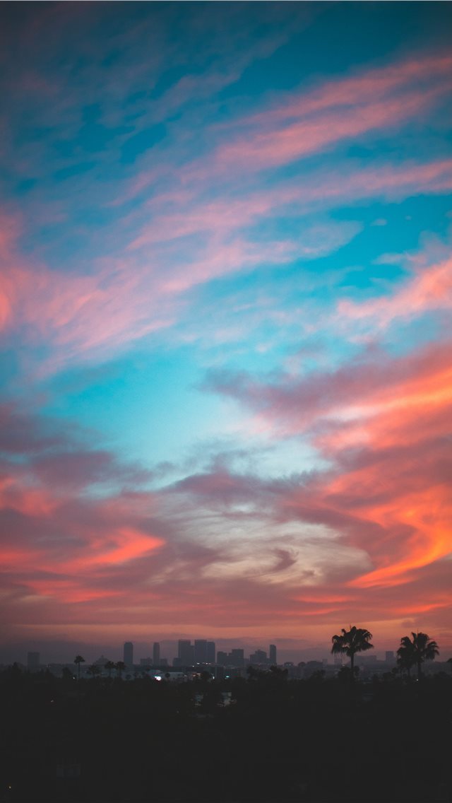 640x1136 Sunset in LA - palm tree iPhone Wallpaper
