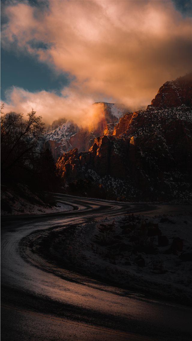 640x1136 Zion S - tree iPhone Wallpaper