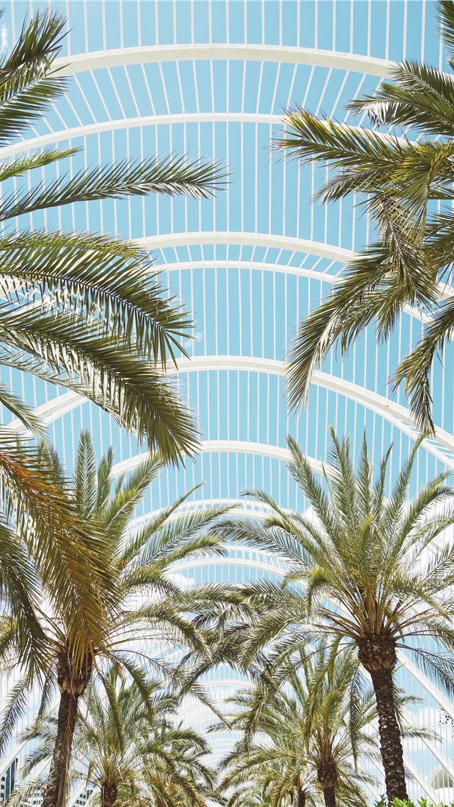 640x1136 Modern spirit - tree iPhone Wallpaper