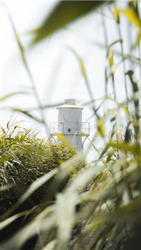 A Hidden Gem wallpaper