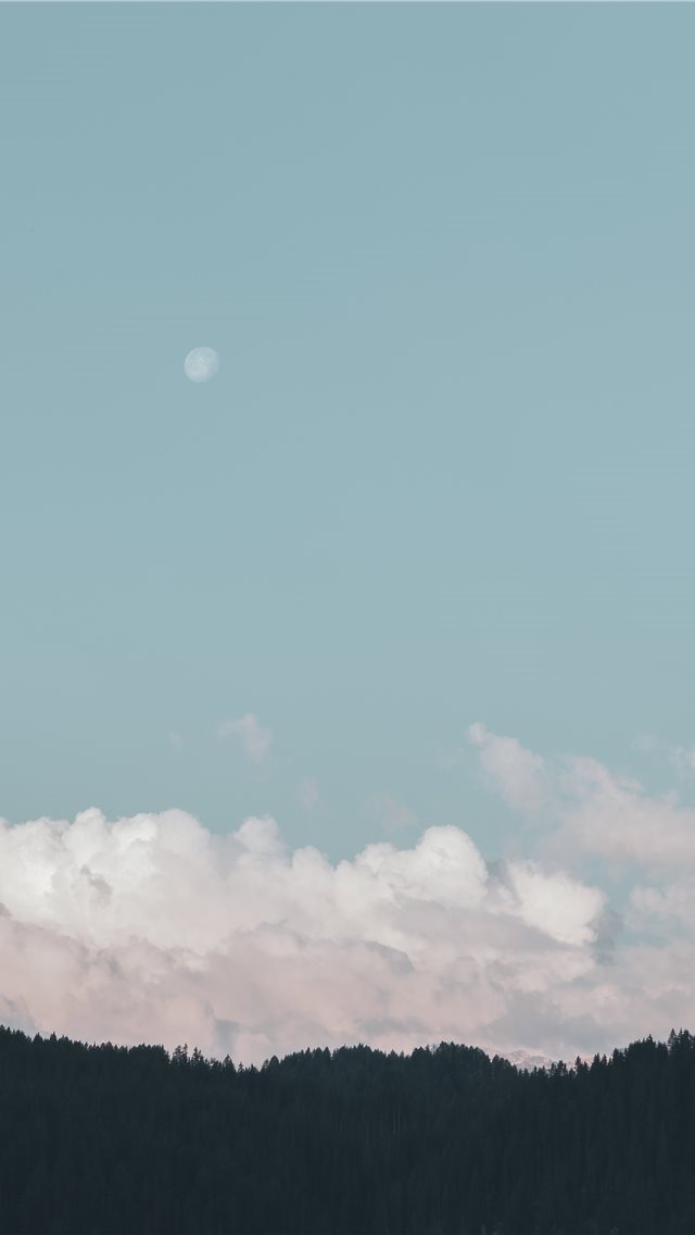 640x1136 Pastel clouds - forest iPhone Wallpaper
