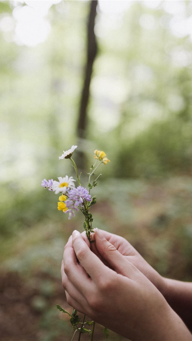 640x1136 Ontario  Canada - hand iPhone Wallpaper