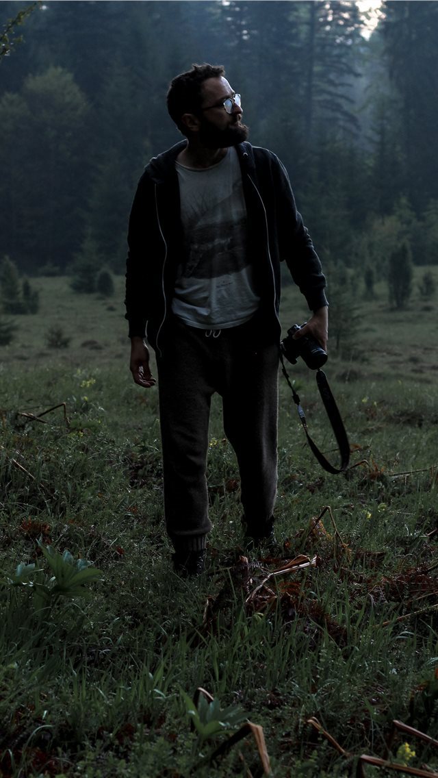 640x1136 Foggy dusk at Tara National Park in Western Serbia - camera iPhone Wallpaper