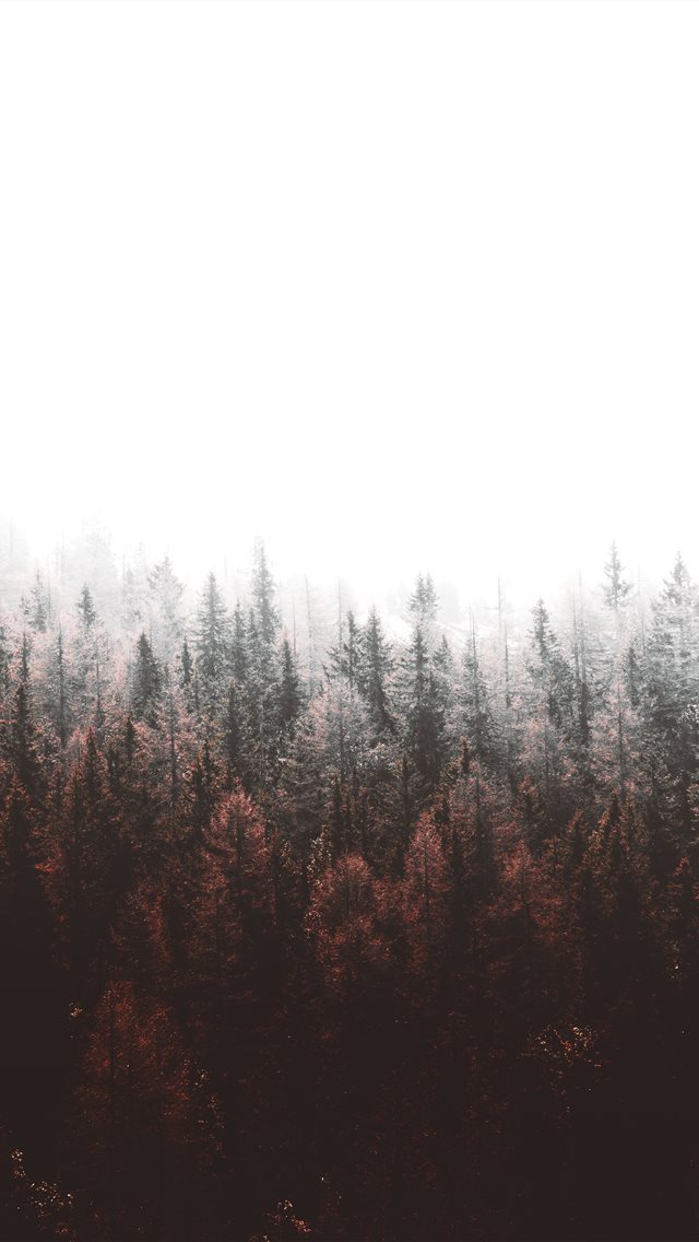 640x1136 Italy - travel iPhone Wallpaper