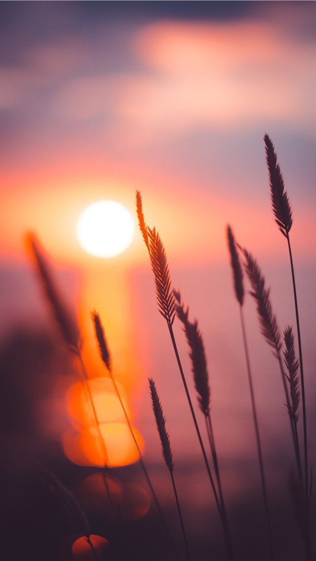 640x1136 Sunset - sun iPhone Wallpaper