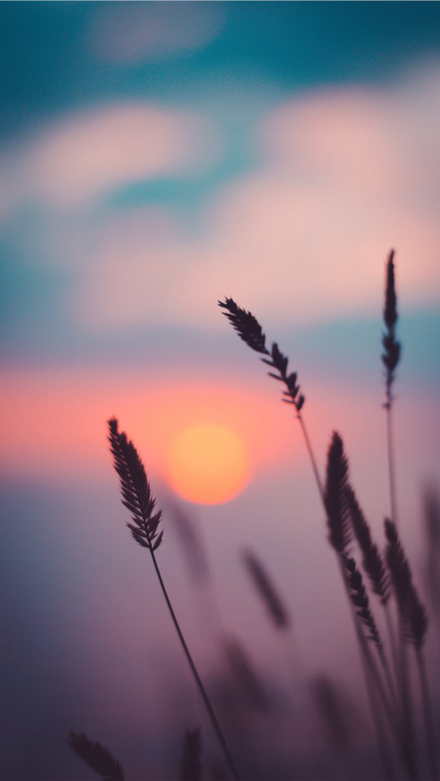 Sunset iPhone wallpaper 
