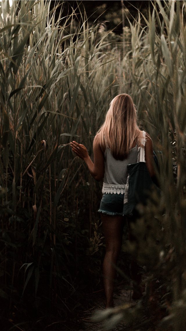 640x1136 That feeling… - sunrise iPhone Wallpaper