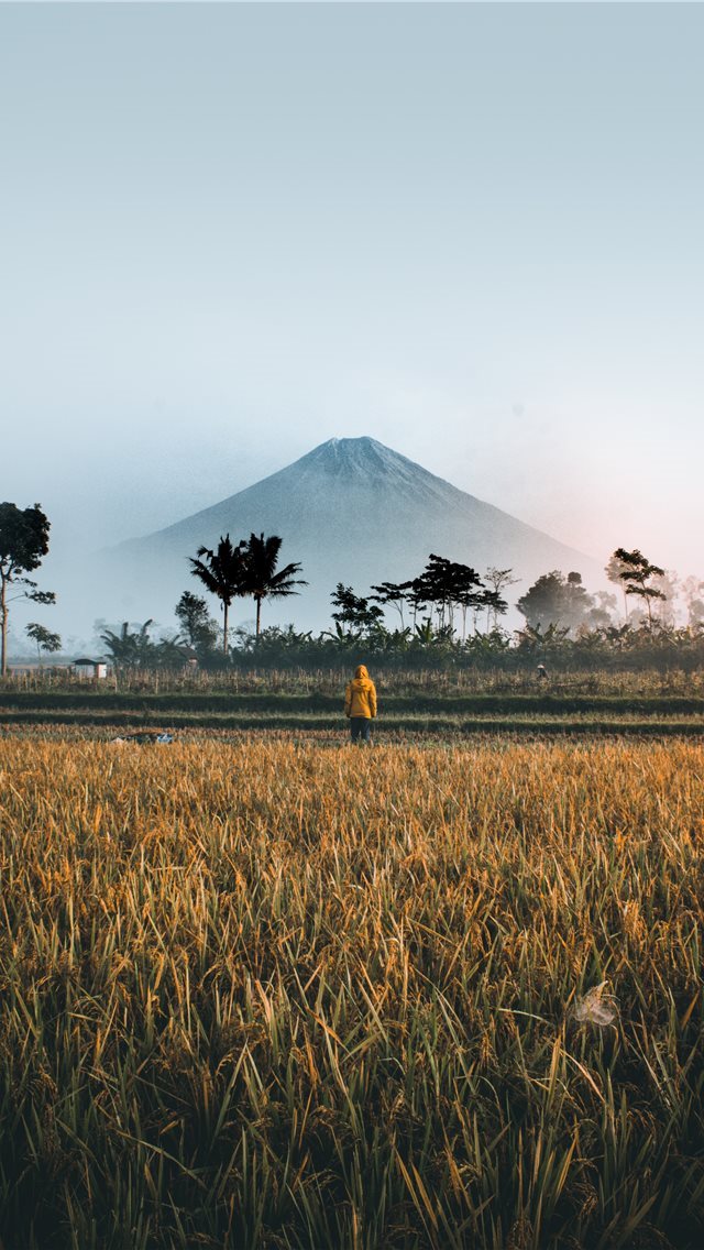 640x1136 BEAUTIFUL MORNING WITH THE SEMERU MOUNTAIN - photography iPhone Wallpaper
