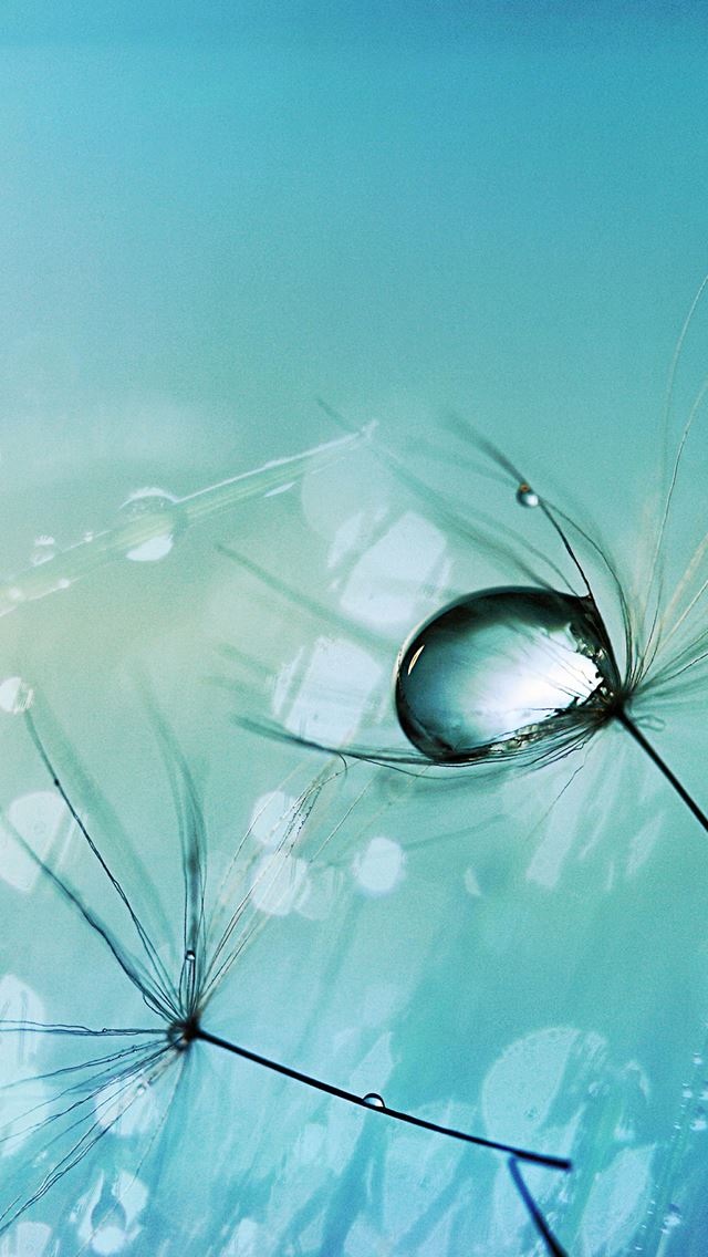 640x1136 Light Drop -  iPhone Wallpaper