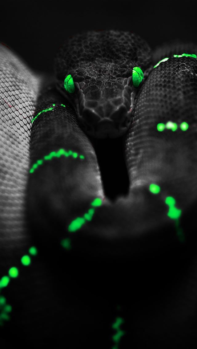 640x1136 Dark Snake -  iPhone Wallpaper