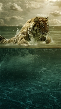 Tiger iphone HD wallpapers