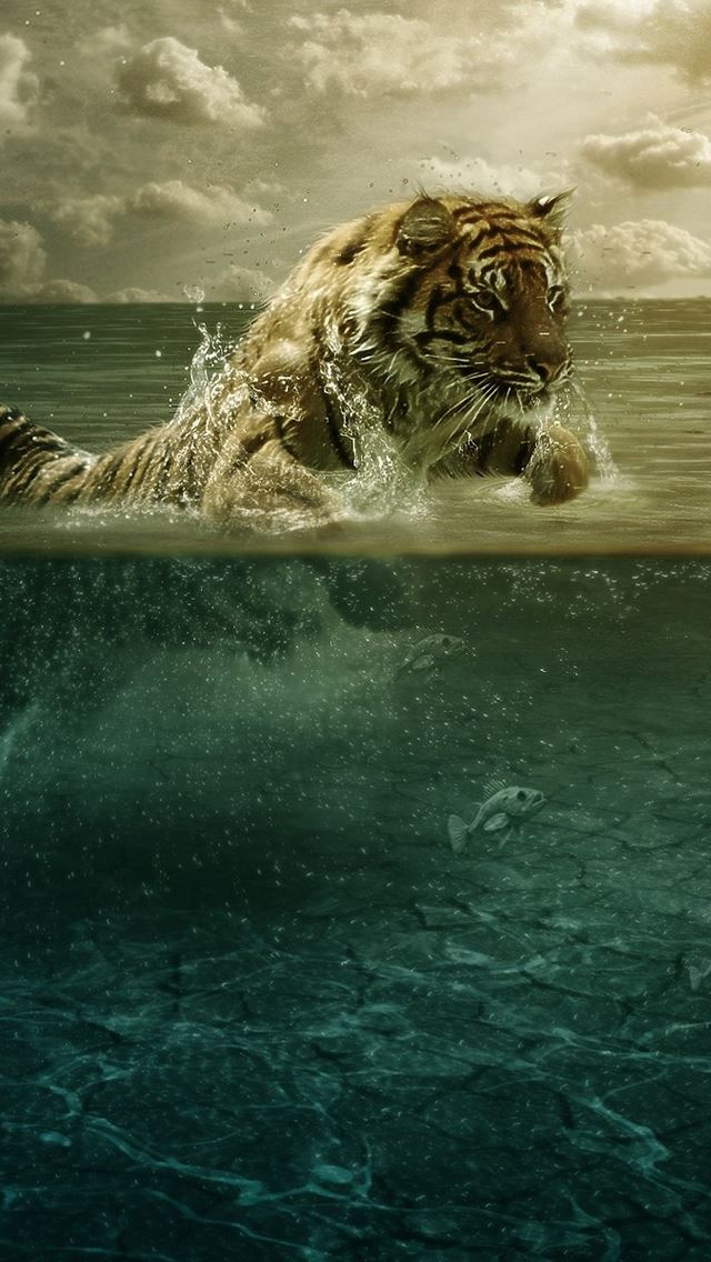 640x1136 Tiger in Water -  iPhone Wallpaper