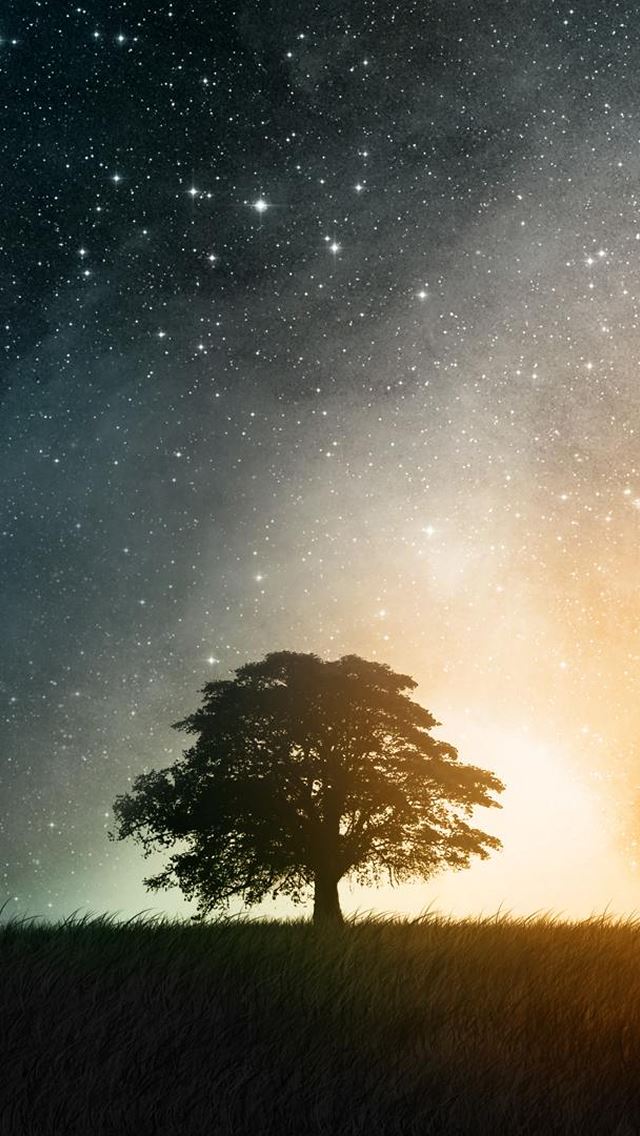 640x1136 Fantasy Art Skyscapes - trees iPhone Wallpaper